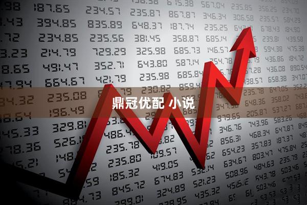 鼎冠优配 小说