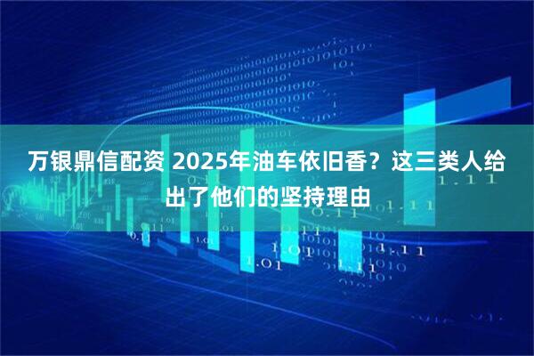 万银鼎信配资 2025年油车依旧香？这三类人给出了他们的坚持理由