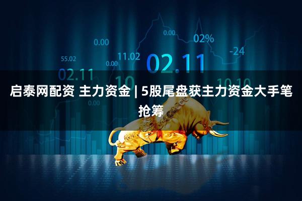 启泰网配资 主力资金 | 5股尾盘获主力资金大手笔抢筹