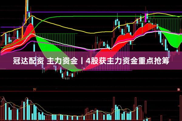 冠达配资 主力资金丨4股获主力资金重点抢筹
